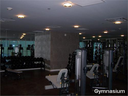 Gymnasium