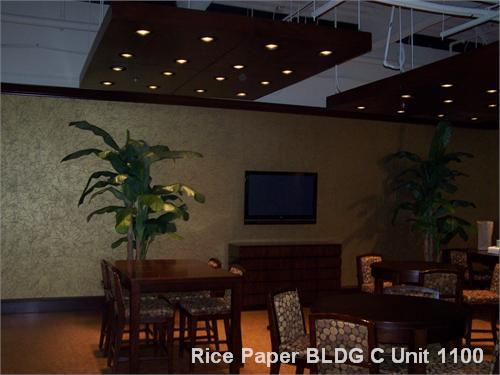 Rice Paper BLDG C Unit 1100